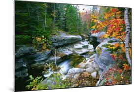Rocky Creek During Fall White Mountains-George Oze-Mounted Photographic Print
