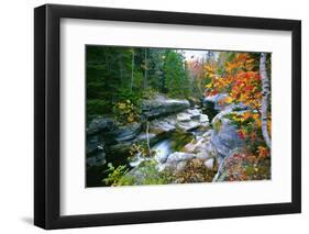 Rocky Creek During Fall White Mountains-George Oze-Framed Premium Photographic Print