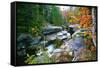 Rocky Creek During Fall White Mountains-George Oze-Framed Stretched Canvas