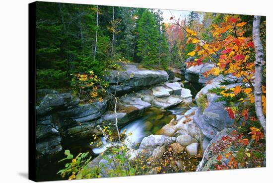 Rocky Creek During Fall White Mountains-George Oze-Stretched Canvas