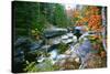 Rocky Creek During Fall White Mountains-George Oze-Stretched Canvas