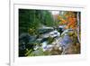 Rocky Creek During Fall White Mountains-George Oze-Framed Photographic Print