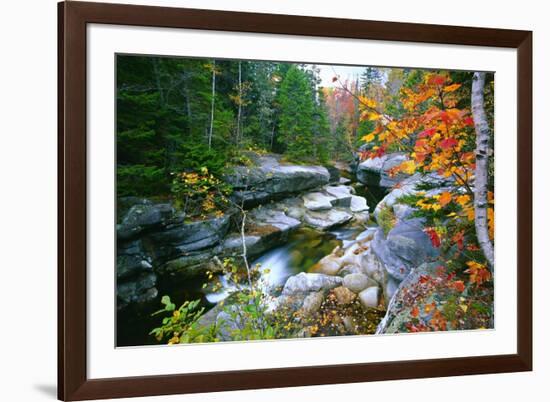 Rocky Creek During Fall White Mountains-George Oze-Framed Photographic Print