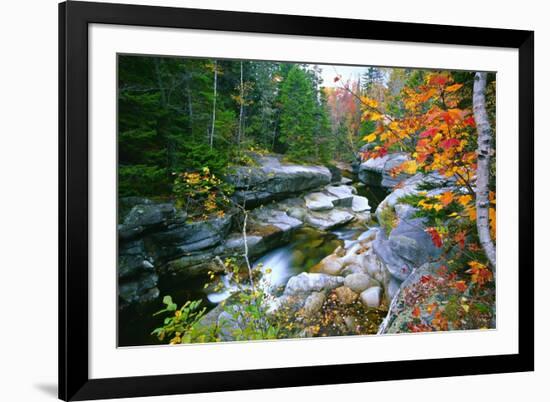 Rocky Creek During Fall White Mountains-George Oze-Framed Photographic Print