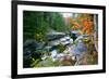 Rocky Creek During Fall White Mountains-George Oze-Framed Photographic Print