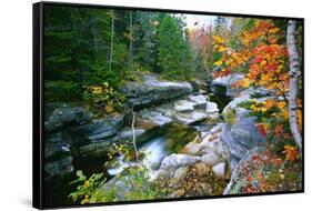 Rocky Creek During Fall White Mountains-George Oze-Framed Stretched Canvas