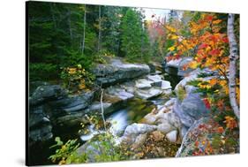 Rocky Creek During Fall White Mountains-George Oze-Stretched Canvas