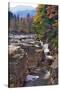 Rocky Creek Gorge, White Mountains, New Hampshire-George Oze-Stretched Canvas