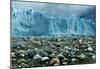 Rocky Glacier Beach Patagonia Argentina-null-Mounted Poster