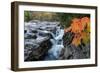 Rocky Gorge Autumn-Michael Blanchette Photography-Framed Giclee Print