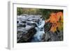 Rocky Gorge Autumn-Michael Blanchette Photography-Framed Giclee Print