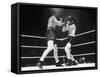 Rocky Graziano and Tony Zale Boxing-null-Framed Stretched Canvas