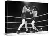 Rocky Graziano and Tony Zale Boxing-null-Stretched Canvas