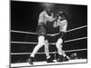 Rocky Graziano and Tony Zale Boxing-null-Mounted Photographic Print