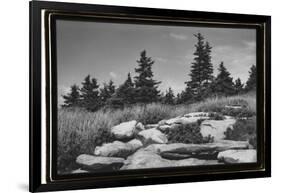 Rocky Green-Laura Denardo-Framed Photographic Print