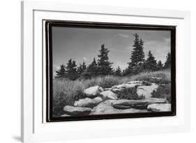 Rocky Green-Laura Denardo-Framed Photographic Print