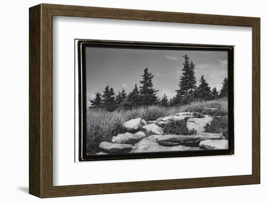 Rocky Green-Laura Denardo-Framed Photographic Print