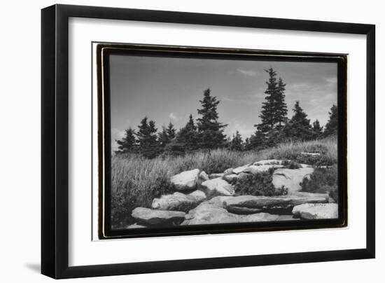 Rocky Green-Laura Denardo-Framed Photographic Print