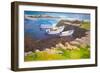 Rocky Harbour (Oil on Board)-William Ireland-Framed Giclee Print
