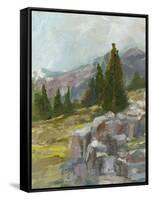 Rocky Hillside II-Ethan Harper-Framed Stretched Canvas