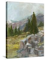 Rocky Hillside II-Ethan Harper-Stretched Canvas