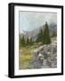 Rocky Hillside II-Ethan Harper-Framed Art Print