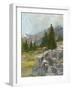 Rocky Hillside II-Ethan Harper-Framed Art Print