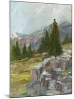 Rocky Hillside II-Ethan Harper-Mounted Art Print