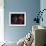 Rocky IV-null-Framed Photographic Print displayed on a wall