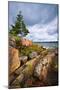 Rocky Lake Shore of Georgian Bay in Killbear Provincial Park near Parry Sound, Ontario, Canada.-elenathewise-Mounted Photographic Print