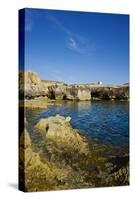 Rocky Landscape near Fungus Rock, Dwejra, Gozo, Malta-Massimo Borchi-Stretched Canvas