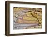 Rocky landscape, White Domes Area, Valley of Fire State Park, Nevada, USA.-Michel Hersen-Framed Photographic Print