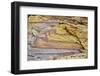 Rocky landscape, White Domes Area, Valley of Fire State Park, Nevada, USA.-Michel Hersen-Framed Photographic Print