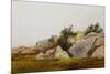Rocky Landscape-John Frederick Kensett-Mounted Giclee Print