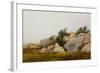 Rocky Landscape-John Frederick Kensett-Framed Giclee Print