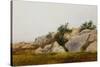 Rocky Landscape-John Frederick Kensett-Stretched Canvas