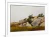 Rocky Landscape-John Frederick Kensett-Framed Premium Giclee Print