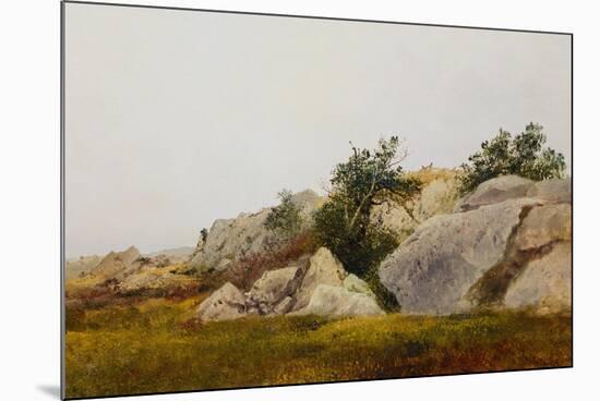 Rocky Landscape-John Frederick Kensett-Mounted Premium Giclee Print