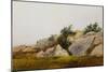 Rocky Landscape-John Frederick Kensett-Mounted Giclee Print