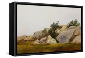 Rocky Landscape-John Frederick Kensett-Framed Stretched Canvas