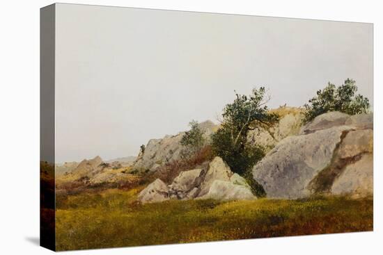 Rocky Landscape-John Frederick Kensett-Stretched Canvas
