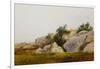 Rocky Landscape-John Frederick Kensett-Framed Giclee Print