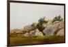 Rocky Landscape-John Frederick Kensett-Framed Giclee Print