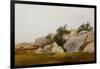 Rocky Landscape-John Frederick Kensett-Framed Giclee Print