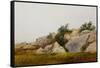 Rocky Landscape-John Frederick Kensett-Framed Stretched Canvas