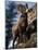 Rocky Mountain Bighorn Sheep on Side of Mountain, Yellowstone National Park, USA-Carol Polich-Mounted Photographic Print