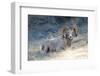 Rocky Mountain Bighorn Sheep, Ovis Canadensis Canadensis, B.C, Canada-Richard Wright-Framed Photographic Print