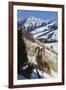 Rocky Mountain Bighorn Sheep Ram-Ken Archer-Framed Photographic Print