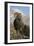 Rocky Mountain Bighorn sheep ram-Ken Archer-Framed Premium Photographic Print