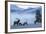 Rocky Mountain Bull Elk and Cows, Frosty Morning-Ken Archer-Framed Photographic Print